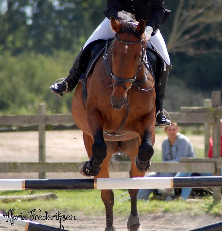Herlev rideskole, Hjor klubstævne Spring billede 164