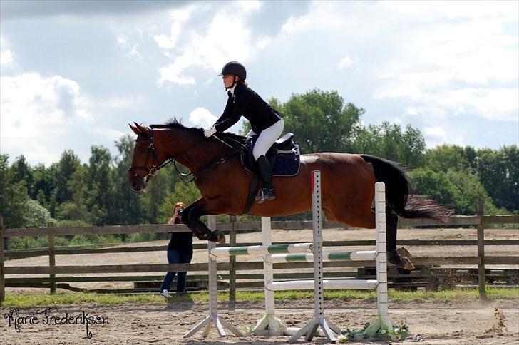 Herlev rideskole, Hjor klubstævne Spring billede 166