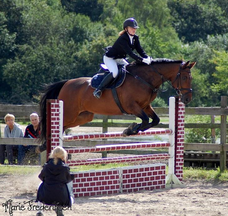 Herlev rideskole, Hjor klubstævne Spring billede 167