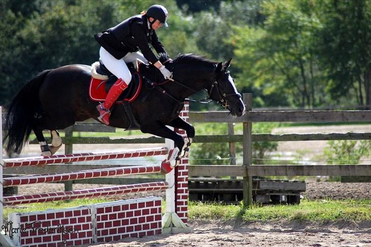 Herlev rideskole, Hjor klubstævne Spring billede 168