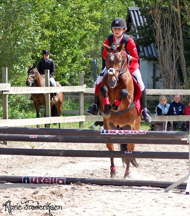 Herlev rideskole, Hjor klubstævne Spring billede 169