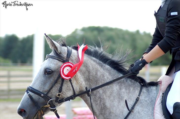 Herlev rideskole, Hjor klubstævne Spring billede 171