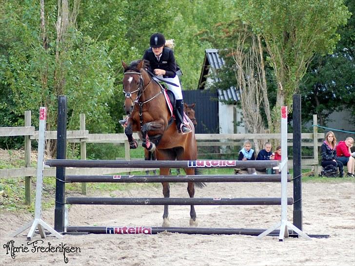 Herlev rideskole, Hjor klubstævne Spring billede 172