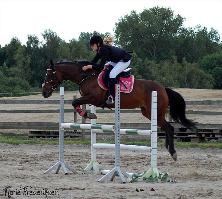 Herlev rideskole, Hjor klubstævne Spring billede 176
