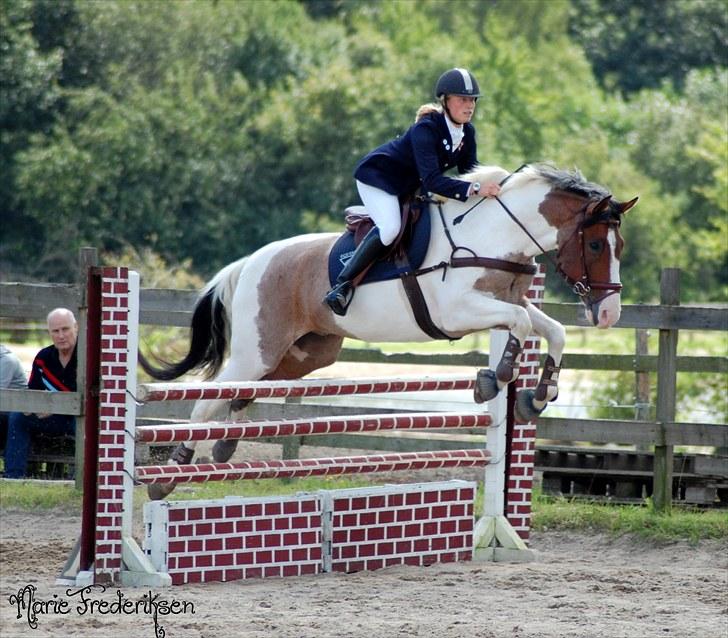 Herlev rideskole, Hjor klubstævne Spring billede 181
