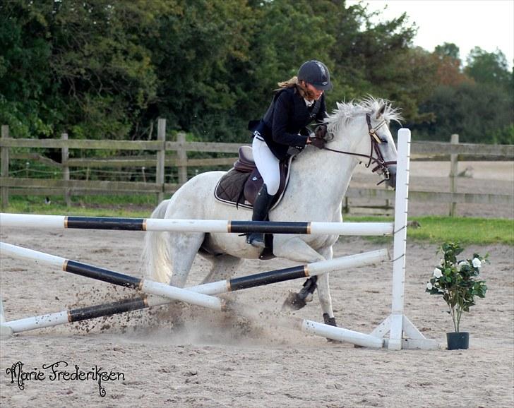 Herlev rideskole, Hjor klubstævne Spring billede 186