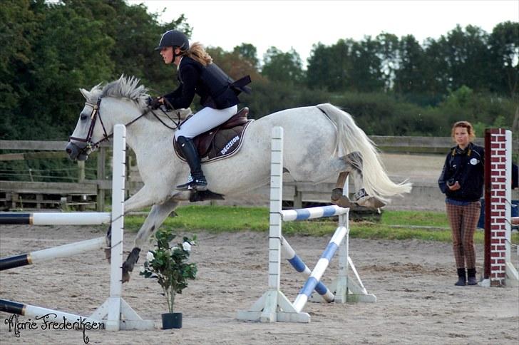Herlev rideskole, Hjor klubstævne Spring billede 187