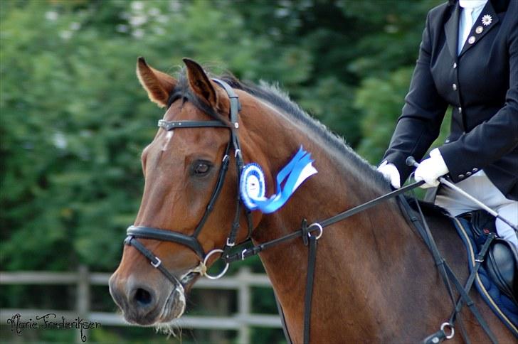 Herlev rideskole, Hjor klubstævne Spring billede 194