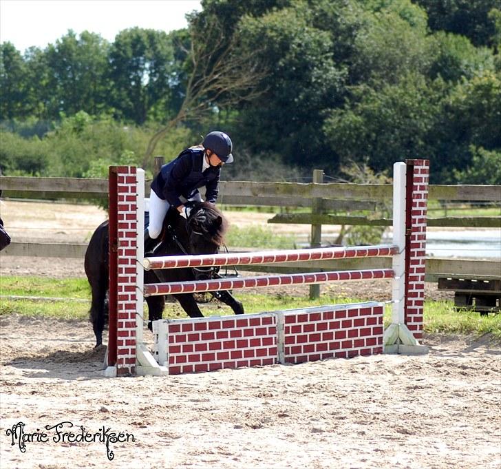 Herlev rideskole, Hjor klubstævne Spring billede 197