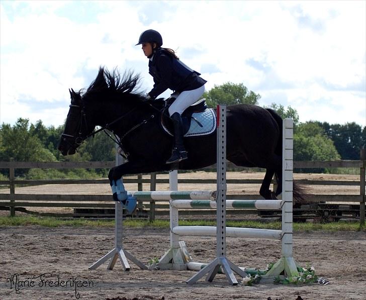 Herlev rideskole, Hjor klubstævne Spring billede 199