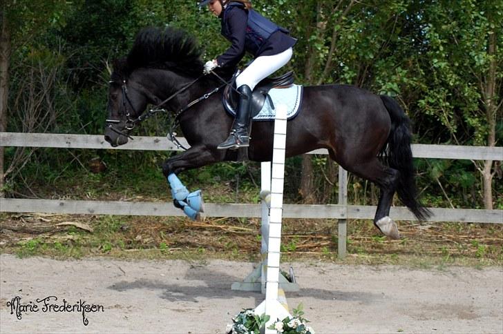 Herlev rideskole, Hjor klubstævne Spring billede 200