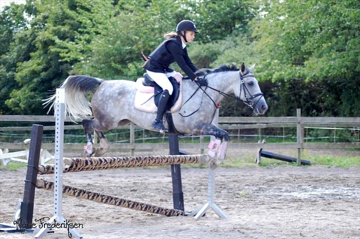 Herlev rideskole, Hjor klubstævne Spring billede 203