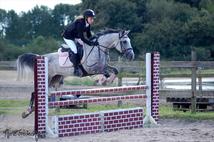 Herlev rideskole, Hjor klubstævne Spring billede 204