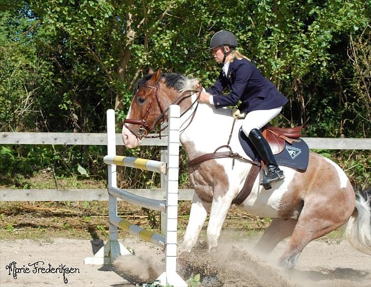 Herlev rideskole, Hjor klubstævne Spring billede 207