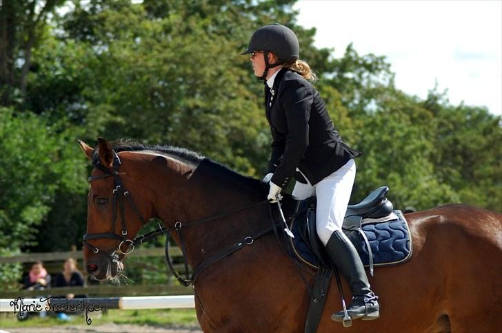 Herlev rideskole, Hjor klubstævne Spring billede 209