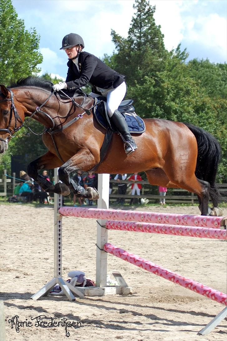 Herlev rideskole, Hjor klubstævne Spring billede 210