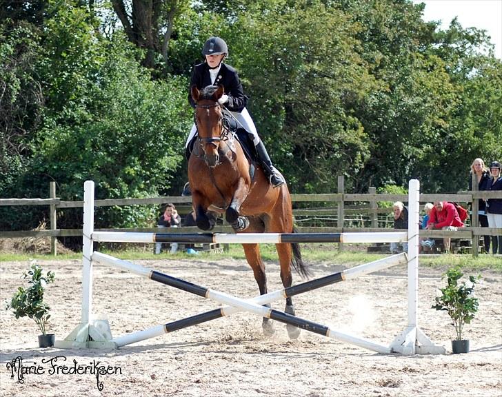 Herlev rideskole, Hjor klubstævne Spring billede 211