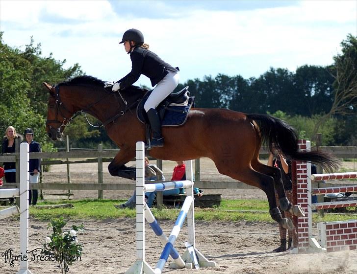 Herlev rideskole, Hjor klubstævne Spring billede 212