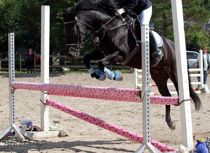 Herlev rideskole, Hjor klubstævne Spring billede 219