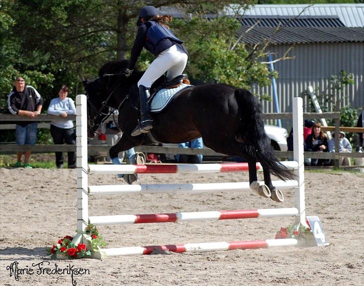 Herlev rideskole, Hjor klubstævne Spring billede 223