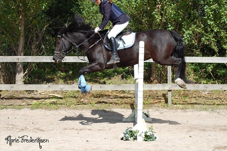 Herlev rideskole, Hjor klubstævne Spring billede 225