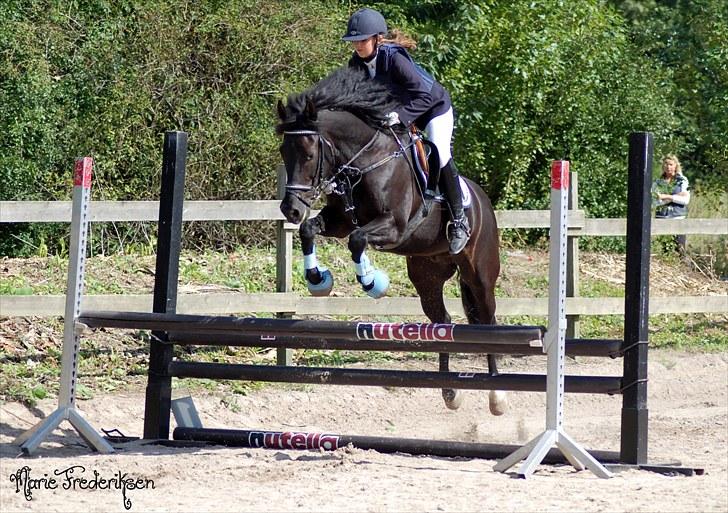 Herlev rideskole, Hjor klubstævne Spring billede 226