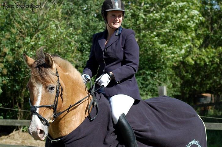 Herlev rideskole, Hjor klubstævne Spring billede 230