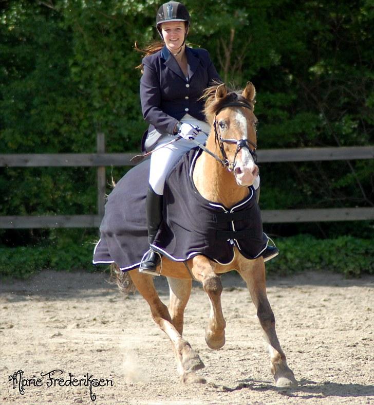 Herlev rideskole, Hjor klubstævne Spring billede 232