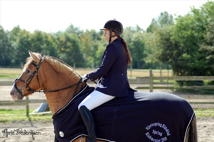 Herlev rideskole, Hjor klubstævne Spring billede 233