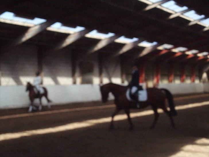 Idefix og Sarah: LC2-B HGR billede 2