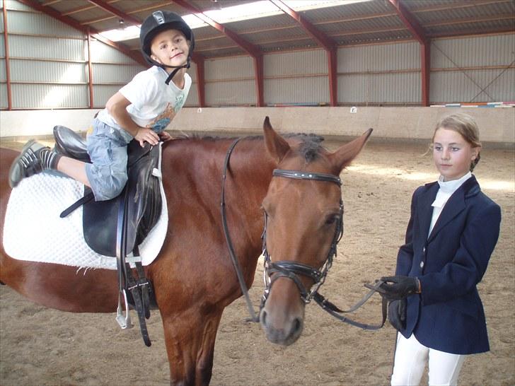 Idefix og Sarah: LC2-B HGR billede 5