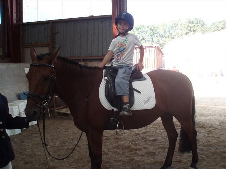 Idefix og Sarah: LC2-B HGR billede 6