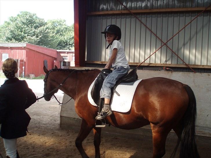 Idefix og Sarah: LC2-B HGR billede 7