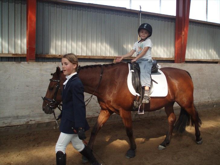 Idefix og Sarah: LC2-B HGR billede 8