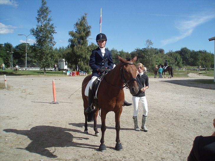 Idefix og Sarah: LC2-B HGR billede 10