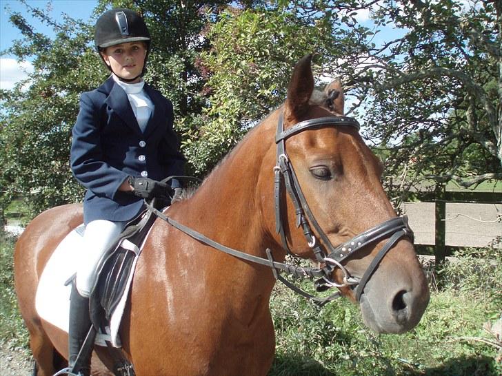 Idefix og Sarah: LC2-B HGR billede 11