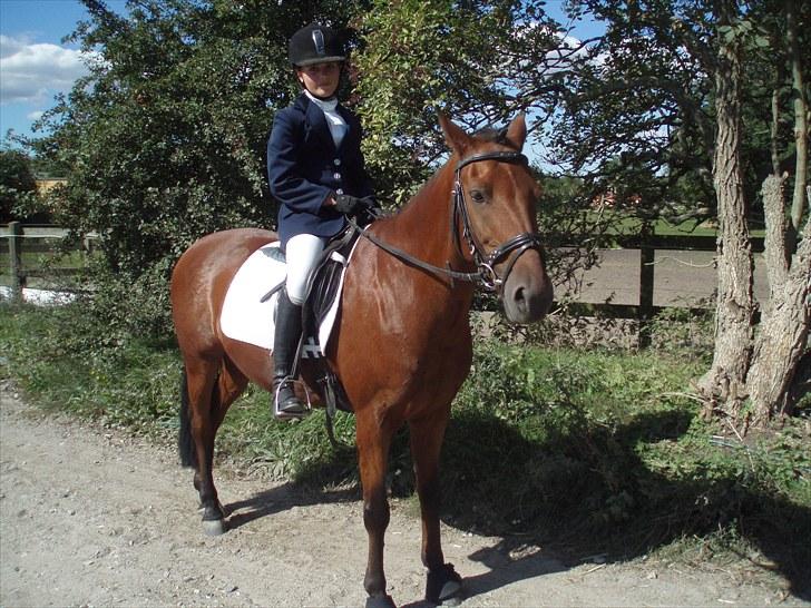 Idefix og Sarah: LC2-B HGR billede 12