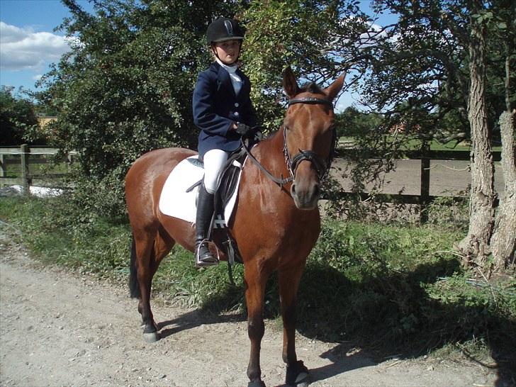 Idefix og Sarah: LC2-B HGR billede 13