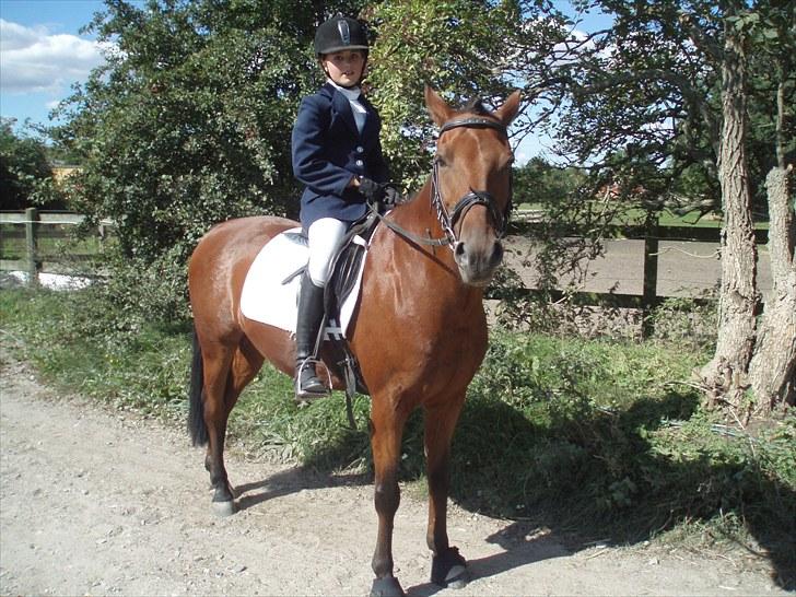 Idefix og Sarah: LC2-B HGR billede 14