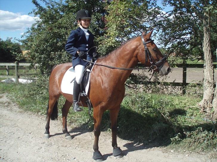 Idefix og Sarah: LC2-B HGR billede 15