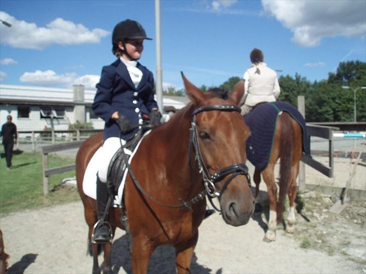 Idefix og Sarah: LC2-B HGR billede 19