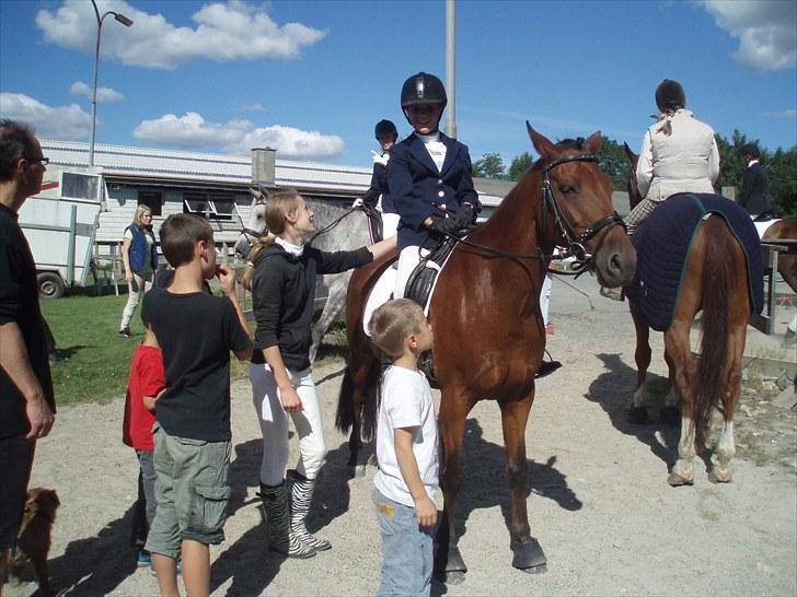 Idefix og Sarah: LC2-B HGR billede 21