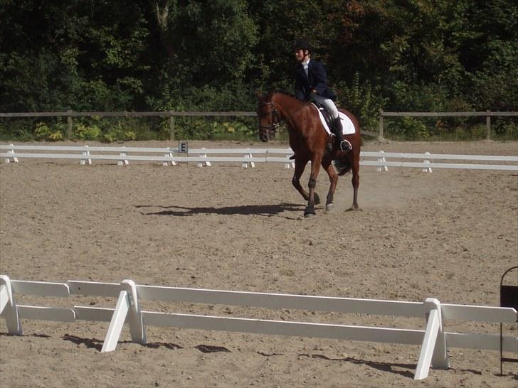 Idefix og Sarah: LC2-B HGR billede 23