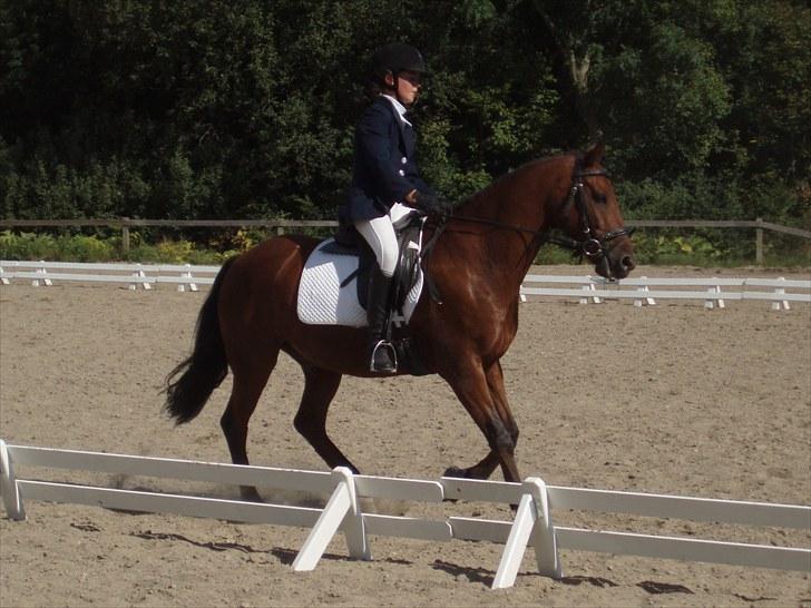 Idefix og Sarah: LC2-B HGR billede 24