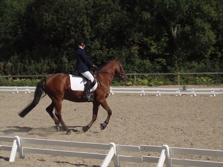 Idefix og Sarah: LC2-B HGR billede 25