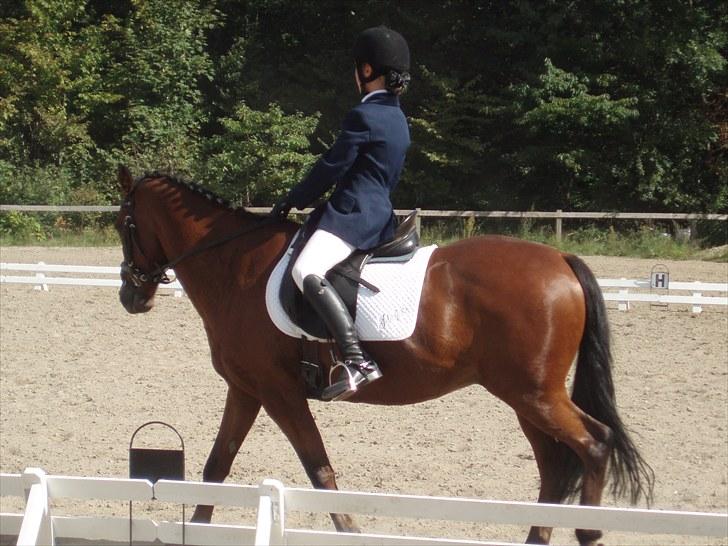 Idefix og Sarah: LC2-B HGR billede 26