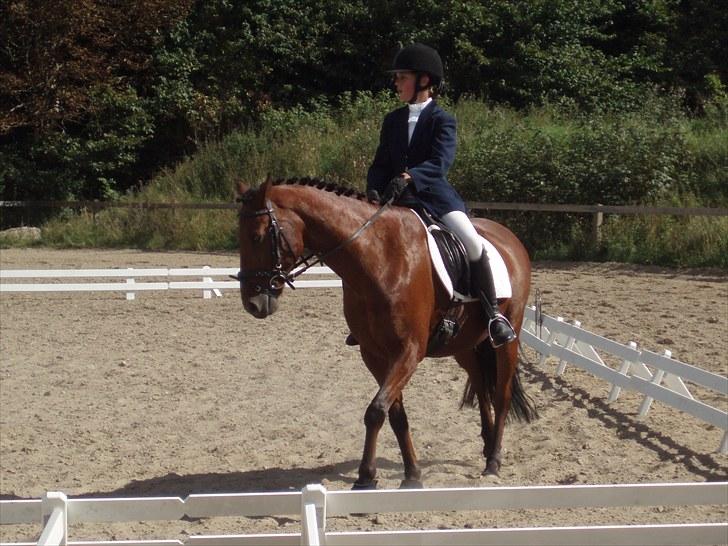 Idefix og Sarah: LC2-B HGR billede 27