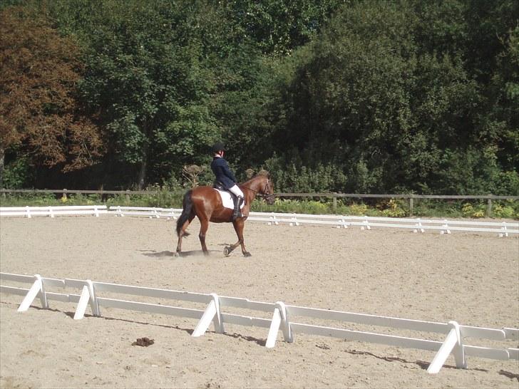 Idefix og Sarah: LC2-B HGR billede 28