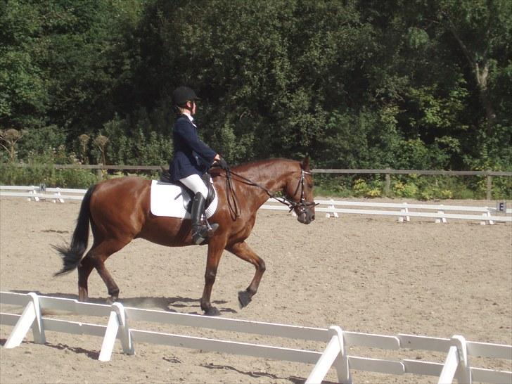 Idefix og Sarah: LC2-B HGR billede 29