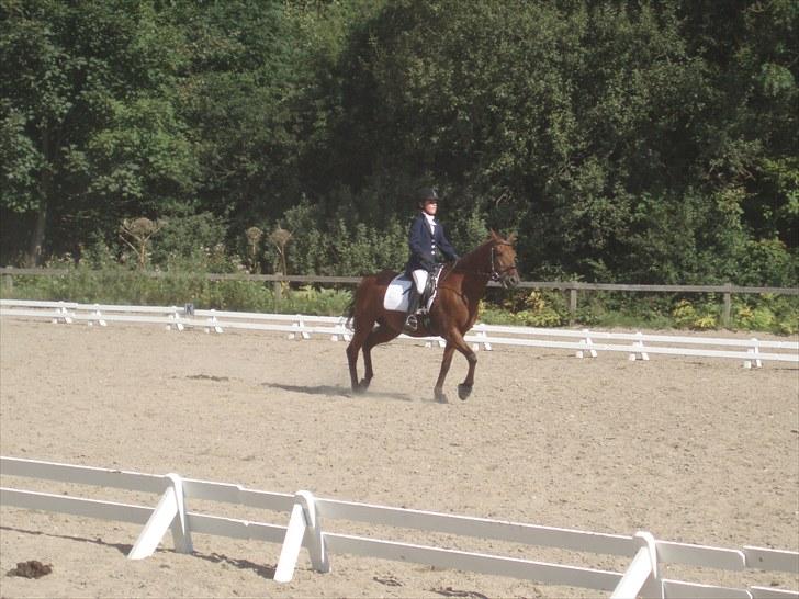 Idefix og Sarah: LC2-B HGR billede 30